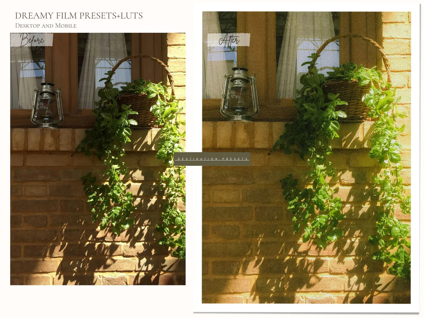 Dreamy Film Lightroom Presets