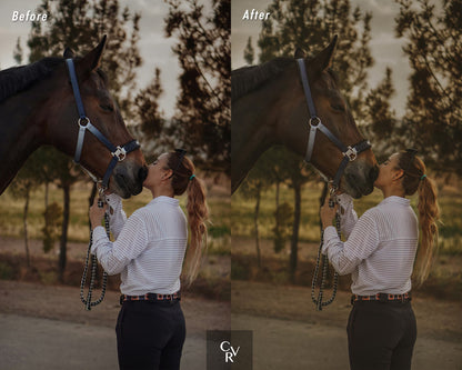 Old Money Lightroom Presets