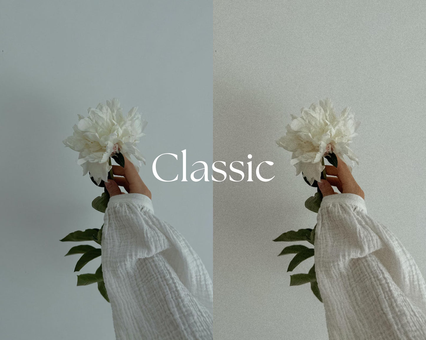 Classic Lightroom Presets