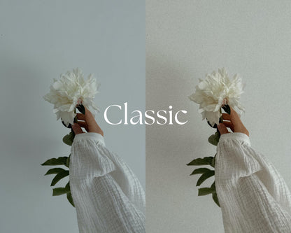 Classic Lightroom Presets
