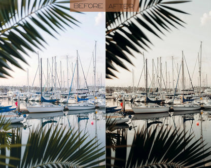 Luxury Lightroom Presets