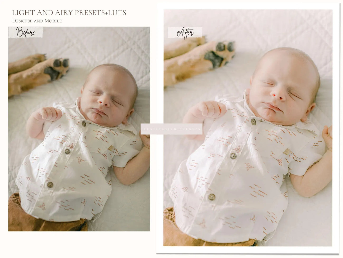 LIGHT AND AIRY Lightroom Presets Bundle