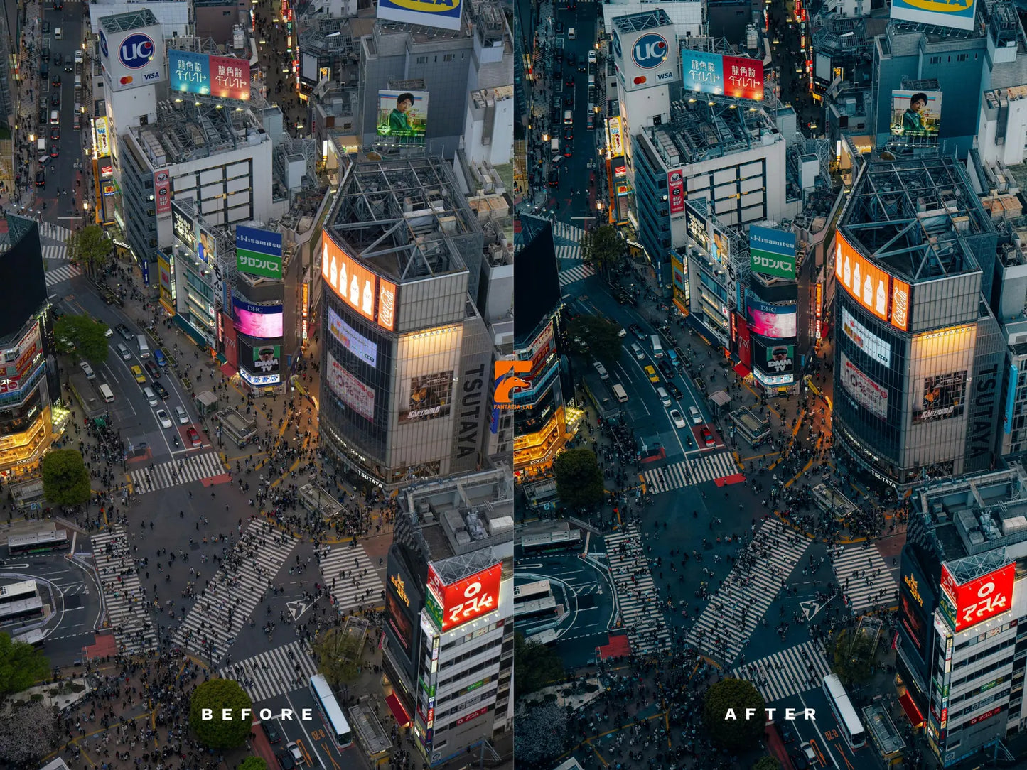 Cinematic Night Lightroom Preset